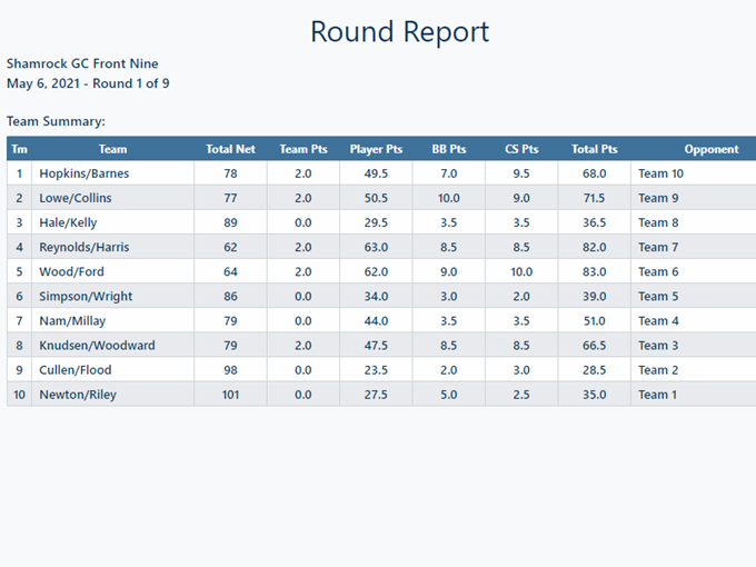 Report Team Summary